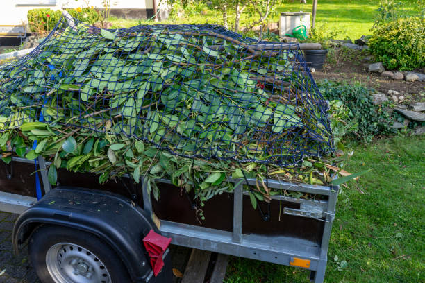 Best Yard Waste Removal  in Henning, TN